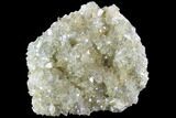 Plate Of Gemmy, Chisel Tipped Barite Crystals - Mexico #84427-1